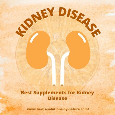 Orange world kidney day display